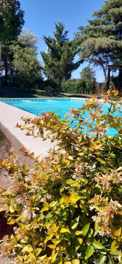 Cabanas Farah Estancia Vieja Ideal Para 2 A 3 Huespedes Villa Carlos Paz Extérieur photo